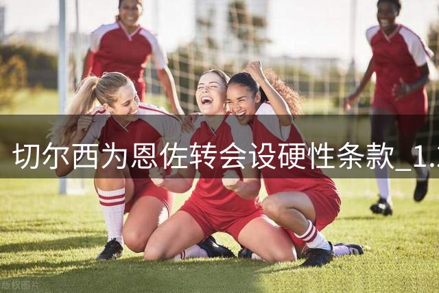 切尔西为恩佐转会设硬性条款 1.2亿英镑不二价