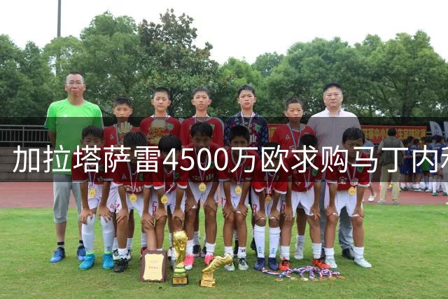 加拉塔萨雷4500万欧求购马丁内利 枪手持开放态度