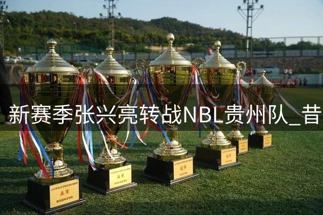 新赛季张兴亮转战NBL贵州队 昔日"行李箱事件"主角能否重生