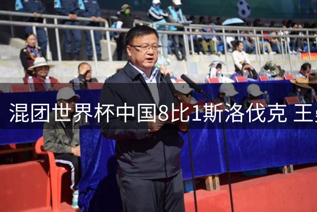 混团世界杯中国8比1斯洛伐克 王曼昱樊振东均横扫