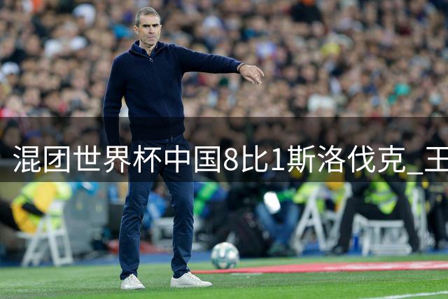 混团世界杯中国8比1斯洛伐克 王曼昱樊振东均横扫
