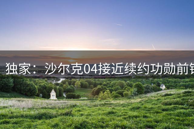 独家：沙尔克04接近续约功勋前锋哲科 谈判取得突破性进展